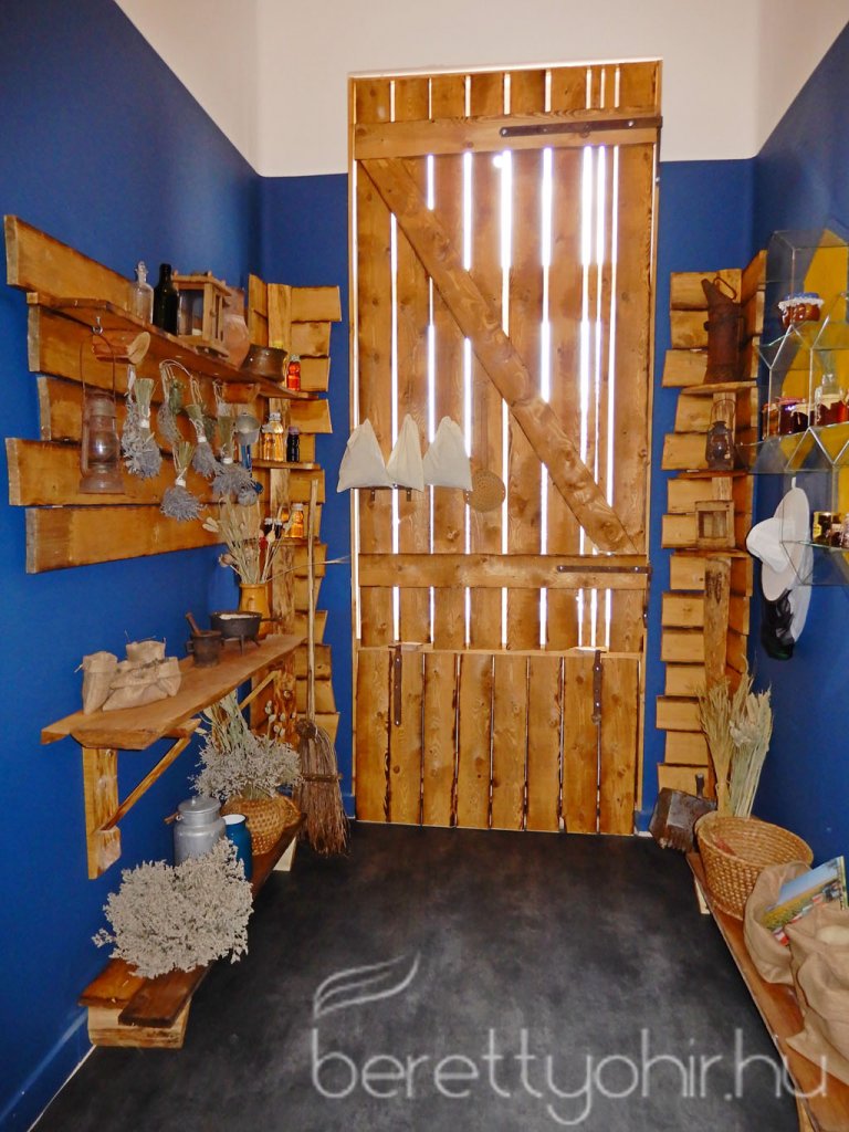 Szent Isván-napi rendezvények- 2021 173